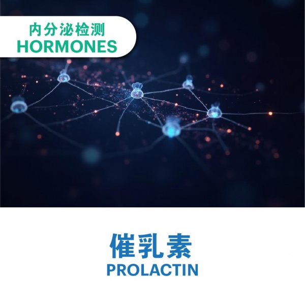 ecommerce_cover_add_on_v311_7_2025-40