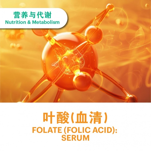 ecommerce_cover_add_on_v311_7_2025-58_2063666570