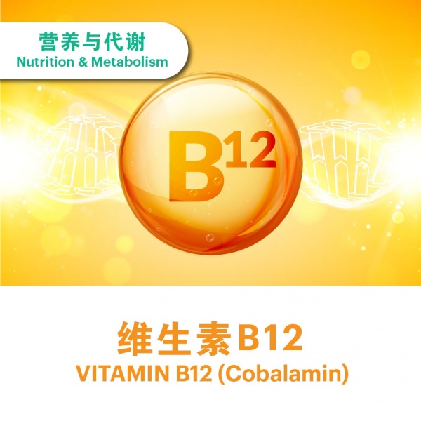 ecommerce_cover_add_on_v311_7_2025_744219318