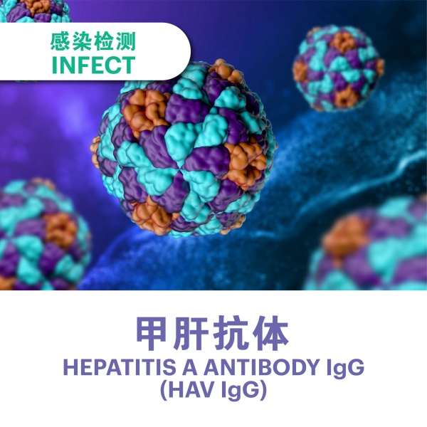 hepatitis_a_antibody_igg